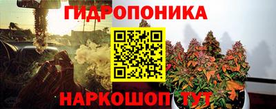 стафф Старая Купавна